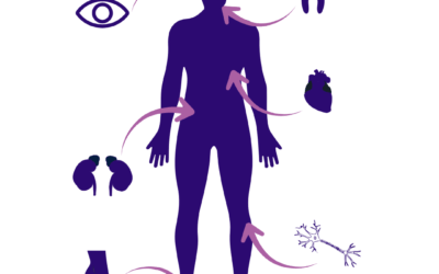 Aide à domicile et diabète : les clés pour mieux accompagner